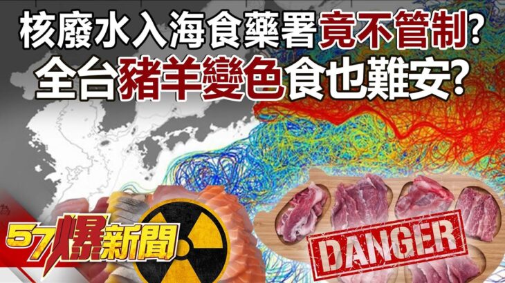 核廢水入海食藥署竟不管制？ 全台「豬羊變色」食也難安？ – 張禹宣 董智森 柳采葳 徐俊相《57爆新聞》精選篇 網路獨播版-2100-5