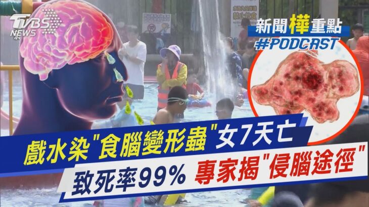 戲水染「食腦變形蟲」女7天亡 致死率99% 專家揭「侵腦途徑」｜新聞”樺”重點PODCAST@tvbsnews02