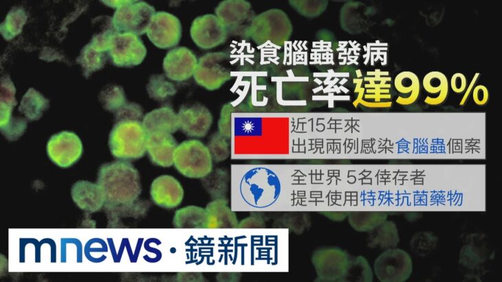 染食腦蟲致死率逾9成　水源透過鼻腔感染｜#鏡新聞