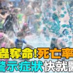 【每日必看】”食腦變形蟲”奪命!死亡率99% “8大警示症狀”快就醫!｜食腦蟲釀1死 泳池來客受衝擊 專家籲全面抽檢  20230811 @CtiNews