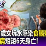 【關鍵精華】死亡率99%！新北30多歲女室內玩水感染「食腦變形蟲」 頭痛發病短短6天身亡！ – 劉寶傑