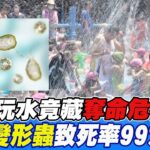 【每日必看】天熱玩水”食腦變形蟲”奪命 致死率99%急追642人 20230811 @CtiNews