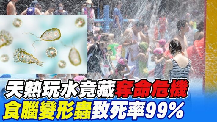 【每日必看】天熱玩水”食腦變形蟲”奪命 致死率99%急追642人 20230811 @CtiNews