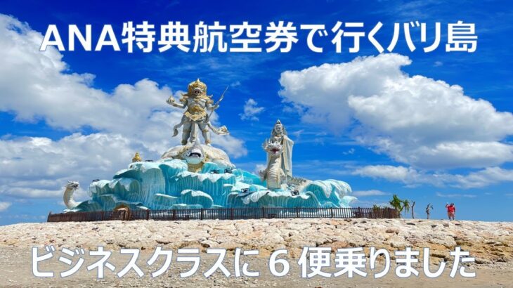 ANAの特典航空券で行くバリ島＿ビジネスクラスに６便乗りました