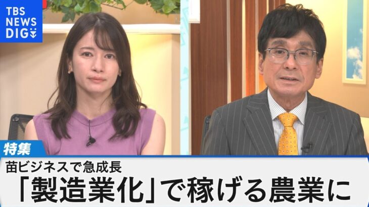 日本の農業を儲かるビジネスへ ～苗ビジネスで生産高日本一「ベルグアース」～【Bizスクエア】｜TBS NEWS DIG