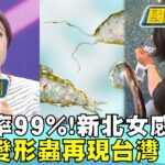 【CC字幕】死亡率99%! 食腦變形蟲再現台灣 新北女感染亡 國民大會 20230810 (1/4)