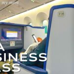 Flight Review: ANA Business Class, Flying from Tokyo (Narita) to Singapore / Luxury Travel