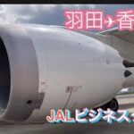 羽田✈︎香港🇭🇰JALビジネスクラス沖ドメでした