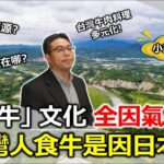 耕「牛」文化全因氣候?! 台灣人食牛是因日本?!｜侯嘉星【T觀點小編出任務】