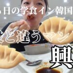 ソウルVLOG | 日本から韓国へ、戻ってすぐの学食は普段と違うマンドゥだった