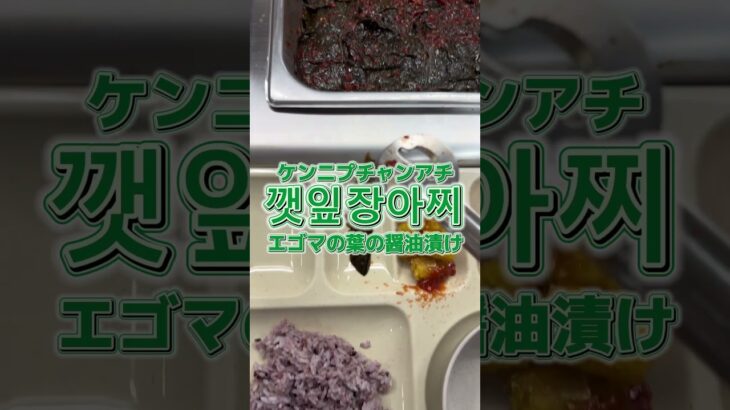 懐かしい音が聞こえる #キムテヒョン #韓国 #韓国学食 #とある日の学食イン韓国 #학식 #학생식당 #점심 #koreanfood #チルソンサイダー