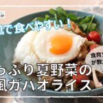 【和風で食べやすい！】たっぷり夏野菜の和風ガパオライス【食育ソムリエが教える】