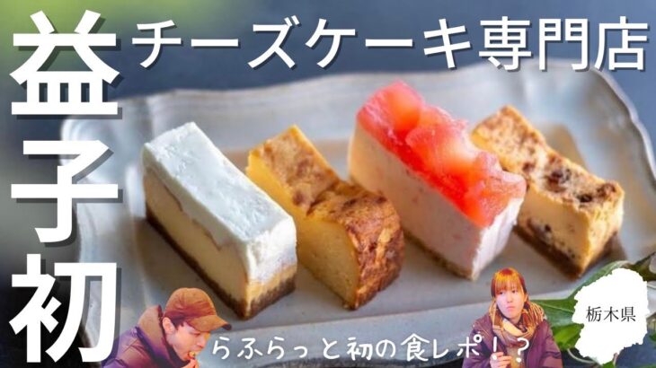 【食レポ】益子町に出来たチーズケーキ専門店が色々新しかった【栃木県グルメ】