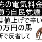 温暖化ビジネス(風力発電)の闇