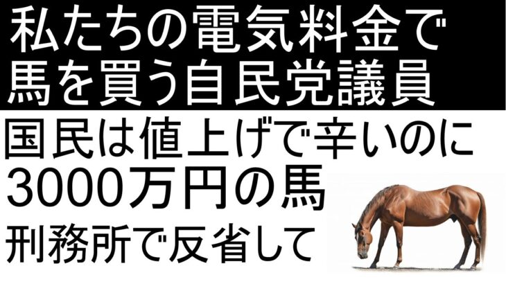 温暖化ビジネス(風力発電)の闇