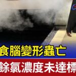 女染食腦變形蟲亡 水池餘氯濃度未達標準