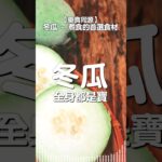 冬瓜 – 全身都是寶 | 煮食的首選食材 | 冬瓜籽 冬瓜皮 冬瓜藤 都滿有營養 | 健康食物 健康食材 | #藥食同源 #瓜類食材 #減肥瘦身 #降血脂食物 #降血壓食物