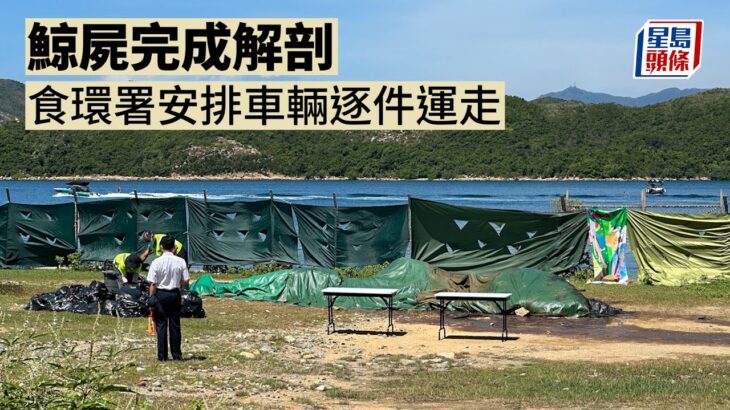 西貢鯨魚│鯨屍完成解剖 食環署安排車輛逐件運走 西貢｜牛尾洲｜鯨魚｜布氏鯨｜浮屍｜躉船｜萬宜水庫｜西壩｜解剖｜海洋公園｜食物環境衞生署｜星島頭條｜港聞