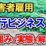 障害者雇用代行ビジネスって何？仕組みと実態を解説