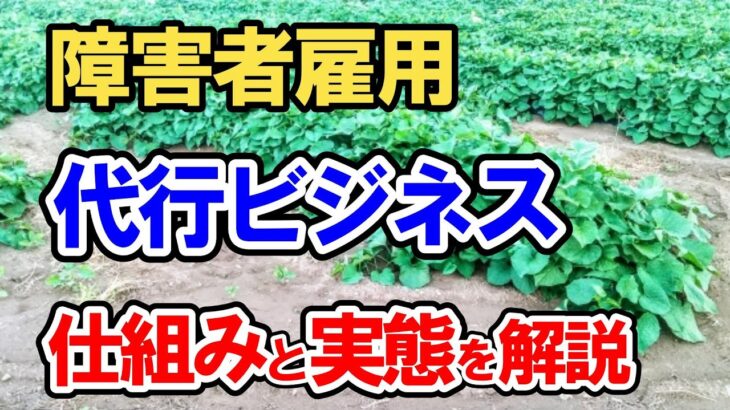 障害者雇用代行ビジネスって何？仕組みと実態を解説