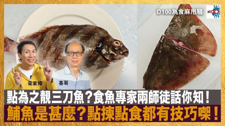 點為之靚三刀魚？食魚專家兩師徒話你知！鯆魚是甚麼？點揀點食都有技巧㗎！｜為食麻甩騷｜梁家權、基哥