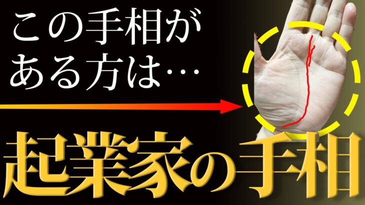 【手相占い】起業を目指している人にあったら最高の運命線はコレ！【手相鑑定 vol.224】