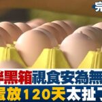 【完整版中集】謊言伴黑箱政府視食安為無物 巴西蛋放120天太扯了? 少康戰情室 20230913 @tvbssituationroom