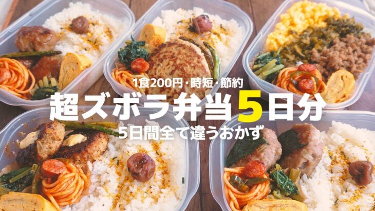 【1食200円】５日間全て違うおかずを作り置きして平日を楽にする | 節約&時短レシピ【まるごと冷凍弁当】