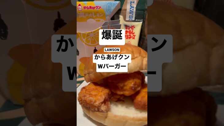 【ローソン140食】『爆誕』からあげクンWバーガー 取材拒否 全店制覇 渋谷で深夜大量に食べてみた 0513