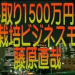 【ゆっくり解説】手取り1500万円の自然栽培ビジネスモデル 藤原直哉