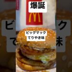 【マクドナルド195食】爆誕！！ビッグマックてりやき味 取材拒否 全バーガー制覇 三軒茶屋で深夜大量に食べてみた 0505