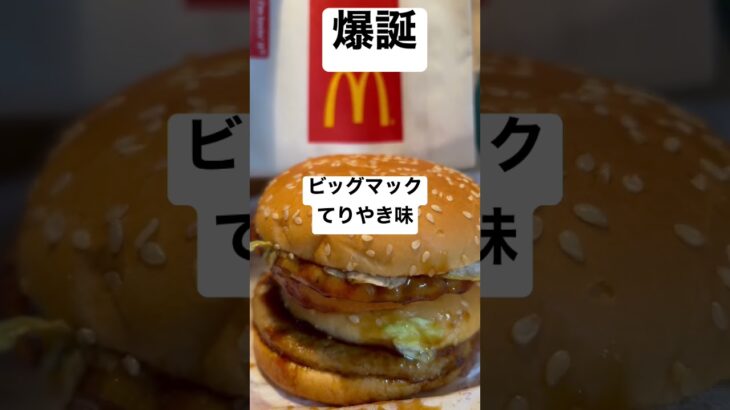 【マクドナルド195食】爆誕！！ビッグマックてりやき味 取材拒否 全バーガー制覇 三軒茶屋で深夜大量に食べてみた 0505