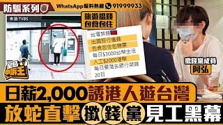 日薪2000元誘港人遊台包食包住 放蛇直擊「撳錢黨」見工陷阱黑幕｜星島申訴王｜撳錢黨｜求職陷阱｜台灣｜星島頭條