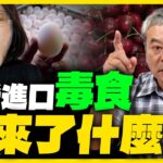 食安問題爆不完？美櫻桃又出包！毒蛋、毒牛、毒豬 台灣食安誰負責？【董智森｜有哏來爆】2023.09.16@funseeTW