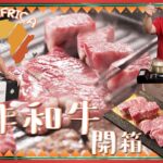 阿Dee識食 | 南非和牛開箱 | 質感品質評測 燒肉火鍋 性價比