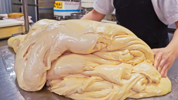 Giant Dough！Delicious Bread Making – Salted Butter Rolls, Green Onion Bread / 巨大麵團來襲！鹽之花可頌製作, 蔥花肉鬆麵包