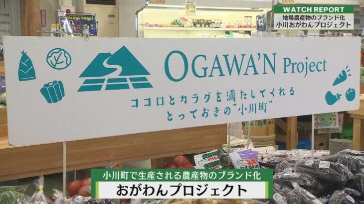 Watch Report 「おがわんプロジェクト」（埼玉ビジネスウオッチ2023年9月2日放送分）