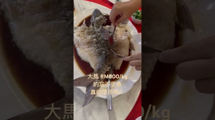 咁貴食的魚🐟真的值得⁉️食完真係忘不了💢#馬來西亞 #大馬獅家 #mangohk