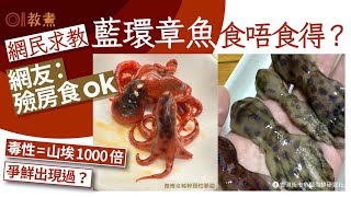 藍環章魚食得嗎惹熱議 網友:殮房食ok！毒性=山埃千倍爭鮮曾出現?｜01教煮｜藍環章魚｜章魚｜八爪魚｜海鮮