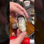 兵庫の牡蠣って美味しいのよ？？ #oyster #起業 #牡蠣