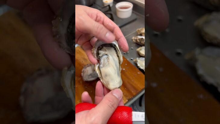 兵庫の牡蠣って美味しいのよ？？ #oyster #起業 #牡蠣