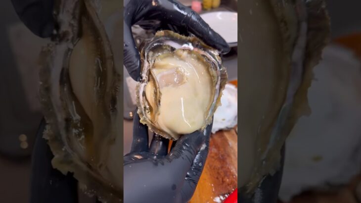 辛くても幸せになる牡蠣　#牡蠣 #起業 #oyster