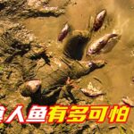 一群食人魚撲向男人，瞬間全跳到他的身上；科幻，科學怪魚，奇幻，獵奇，食人魚，解說，short film