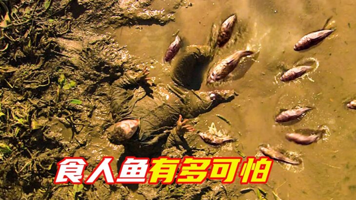 一群食人魚撲向男人，瞬間全跳到他的身上；科幻，科學怪魚，奇幻，獵奇，食人魚，解說，short film