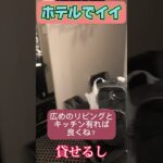 家にビジネスホテルの部屋が有れば良いと思うのは私もだけじゃ無いだろ？もうね、あーゆー事でイイんだよ！