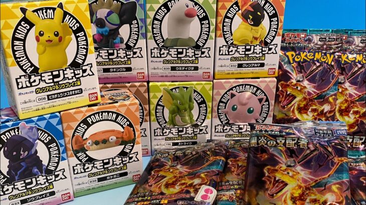 ポケモン　食玩　ポケカ　黒炎の支配者