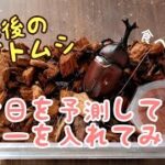 カブトムシ飼育　後食日を予測してゼリーをあげてみた！