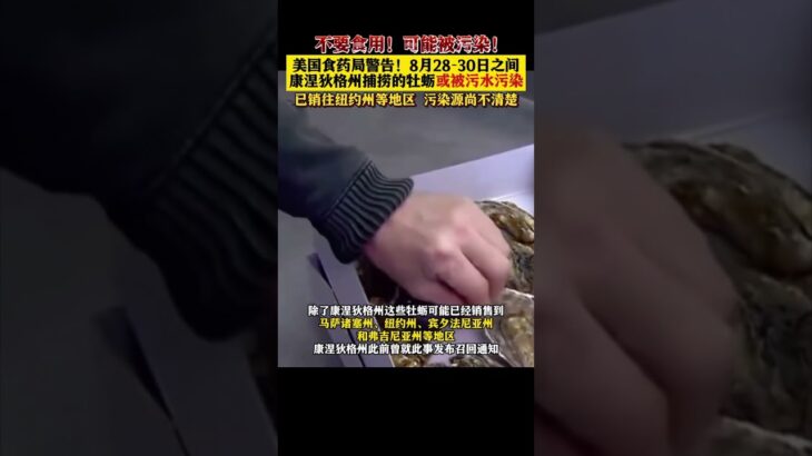 不要食用！#美国 食药局警告！康涅狄格州捕捞的#牡蛎 或被污水#污染 已销往纽约州等地