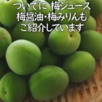 ＜甘いカリカリ梅＞信州郷土食・梅ジュース・梅醤油・梅みりん