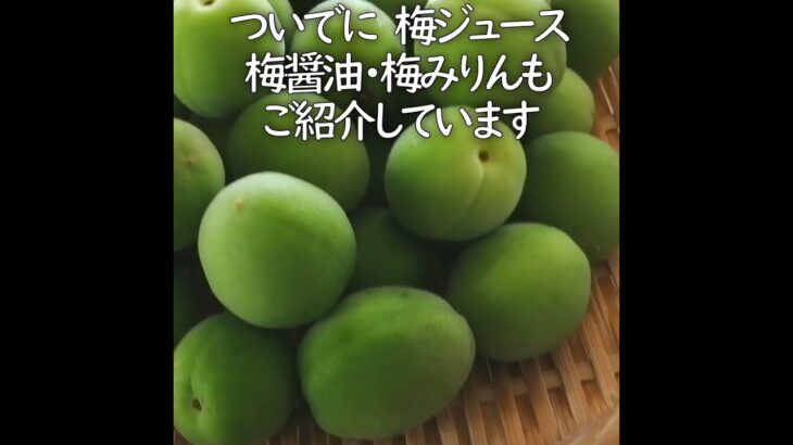 ＜甘いカリカリ梅＞信州郷土食・梅ジュース・梅醤油・梅みりん